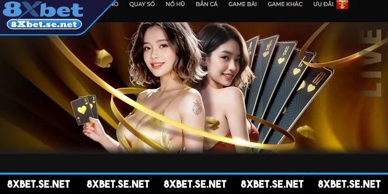Casino 8XBET là một hệ sinh thái cá cược chuyên nghiệp