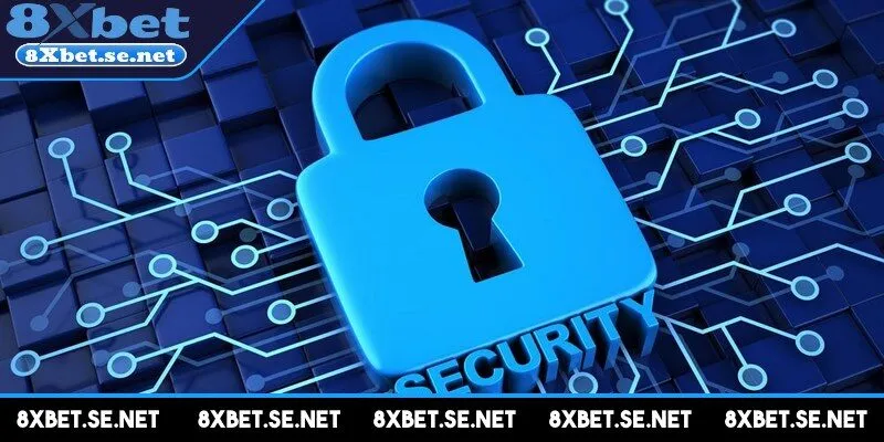 Điều cần chú ý khi tìm hiểu các quy định chính sách bảo mật 8xbet