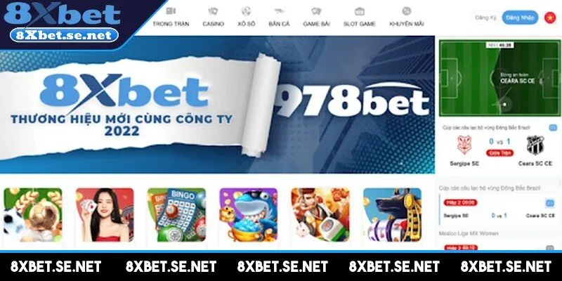 Tuân thủ một số lưu ý giúp bạn đăng nhập 8XBET nhanh chóng, thuận tiện