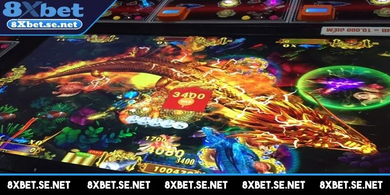 Lựa chọn máy săn cá có tỷ lệ trúng cao rất quan trọng