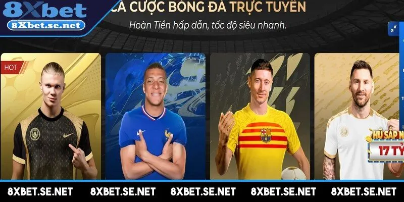 Các loại kèo cược phổ biến tại thể thao 8XBET