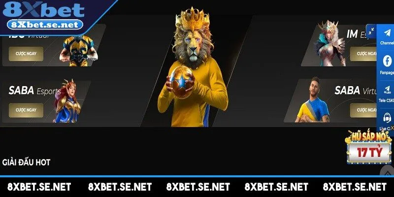 Lưu ý khi chơi cá cược thể thao tại 8XBET